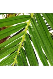 Living and Home 1.8m Fake Plants Artificial Plants Indoor Décor Areca Palm Tree with Black Plastic Pot in Green - thumbnail 5