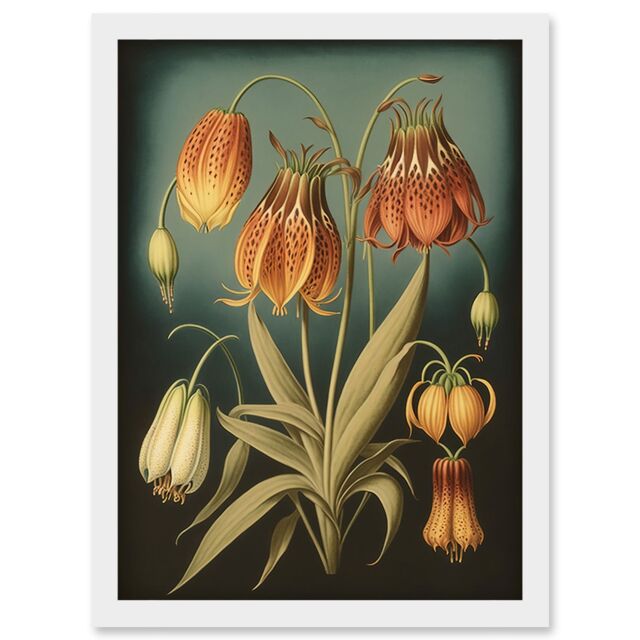 Artery8 Fritillaria Flower Plant Ernst Haeckel Inspired Plant Study Modern Watercolour Painting Illustration Artwork Framed Wall Art Print A4 in White - image 1