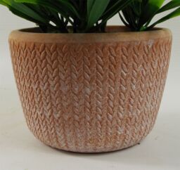 Leaf 22cm Foliage Honey Plant Light Green in Terracotta Pot in Yellow - thumbnail 2