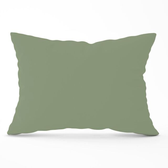 Warren Reed - Designer Sage Green Cushions - Size: 60 cm x 60 cm - image 1