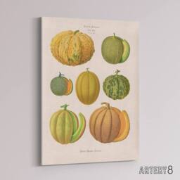 "Artery8 Melons Fruit Vintage Kitchen Ernst Benary Canvas Wall Art Print in White - Size: W12"" x H16""" - thumbnail 2