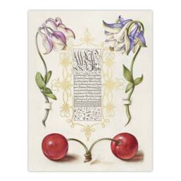 "Artery8 Columbines & Sweet Cherries Calligraphy Wall Art Poster Print in White - Size: W18"" x H24""" - thumbnail 1