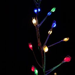 Samuel Alexander 800 LED 5.5m Premier Christmas Indoor Outdoor Wire Cluster Lights with Timer in Multicoloured - thumbnail 4