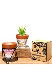 KDMD Agnes & Cat Rosemary Herb Garden Soy Candle with Wooden Wick - thumbnail 6