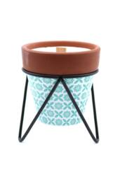 KDMD Agnes & Cat Rosemary Herb Garden Soy Candle with Wooden Wick