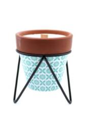 KDMD Agnes & Cat Rosemary Herb Garden Soy Candle with Wooden Wick - thumbnail 7