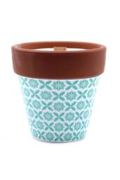 KDMD Agnes & Cat Rosemary Herb Garden Soy Candle with Wooden Wick - thumbnail 2
