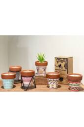 KDMD Agnes & Cat Rosemary Herb Garden Soy Candle with Wooden Wick - thumbnail 4
