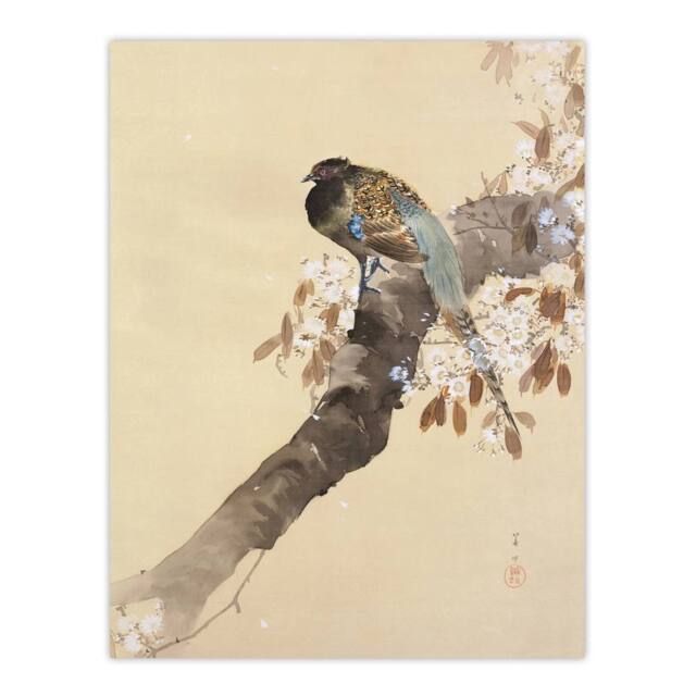 "Artery8 Pheasant On Cherry Blossom Branch Japanese Wall Art Print Koson in Beige - Size: W12"" x H16""" - image 1