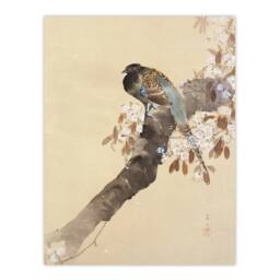 "Artery8 Pheasant On Cherry Blossom Branch Japanese Wall Art Print Koson in Beige - Size: W12"" x H16""" - thumbnail 1