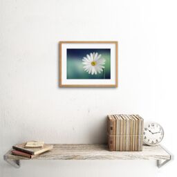 "Artery8 Wall Art Print White Flower Petals Daisy Framed in Beige - Size: W7"" x H9""" - thumbnail 2