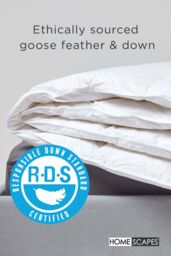 Homescapes Goose Feather & Down All Seasons Duvet in White - Size: Super King - thumbnail 2