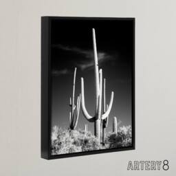 "Artery8 Saguaro Cactus Arizona Carol M Highsmith Framed Canvas Wall Art Print in Grey - Size: W12"" x H16""" - thumbnail 2