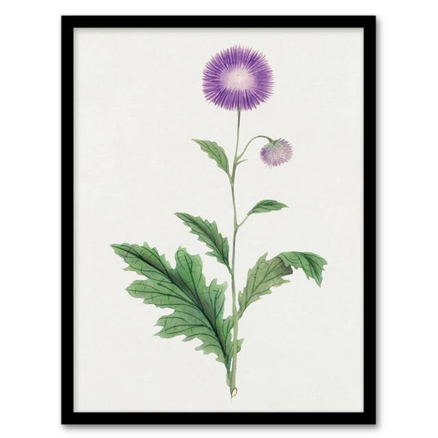 "Artery8 Thistle Flower Framed Wall Art Print Vintage Japanese Botanical in Purple - Size: W12"" x H16""" - image 1
