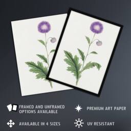 "Artery8 Thistle Flower Framed Wall Art Print Vintage Japanese Botanical in Purple - Size: W12"" x H16""" - thumbnail 2