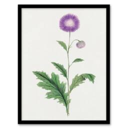 "Artery8 Thistle Flower Framed Wall Art Print Vintage Japanese Botanical in Purple - Size: W12"" x H16""" - thumbnail 1