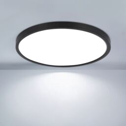 Pheashine Black LED Ceiling Light, 24W 6500K Cool White, 30cm Round Flush Mount - thumbnail 1