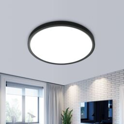 Pheashine Black LED Ceiling Light, 24W 6500K Cool White, 30cm Round Flush Mount - thumbnail 2
