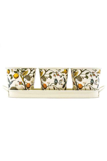 The British Gardening Company Set Of 3 Metal Flower Pots On Tray, Hummingbird Design Planters, Plant Pot Display, Outdoor Plant Containers in Cream - image 1