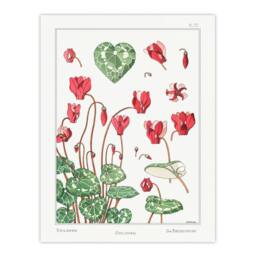 Artery8 Maurice Pillard Verneuil Framed Wall Art Print Cyclamen Flower Plant in White - Size: A4 - thumbnail 3