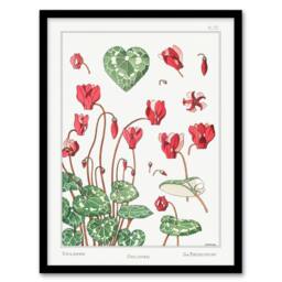 Artery8 Maurice Pillard Verneuil Framed Wall Art Print Cyclamen Flower Plant in White - Size: A4 - thumbnail 1