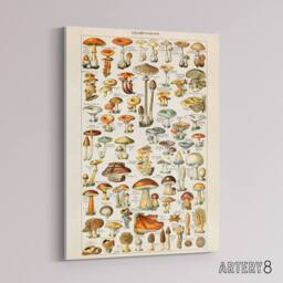 "Artery8 Millot Encyclopedia Page Mushroom Fungus Canvas Wall Art Print - Size: W18"" x H24""" - thumbnail 2