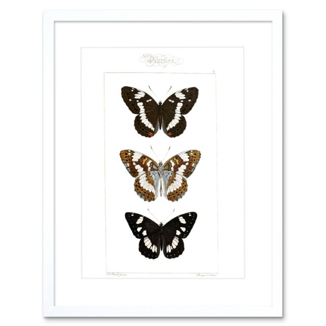 "Artery8 Wall Art Print Butterflies Black & Brown Artwork Framed 9X7 Inch in White - Size: W7"" x H9""" - image 1