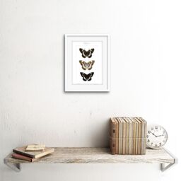 "Artery8 Wall Art Print Butterflies Black & Brown Artwork Framed 9X7 Inch in White - Size: W7"" x H9""" - thumbnail 2