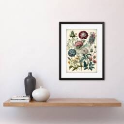 "Artery8 Ernst Haeckel Style Vintage Botanical Plant Study Framed Art Print - Size: W12"" x H16""" - thumbnail 2