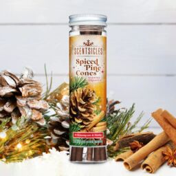 Premier Decorations Scented Hanging Sticks Scenticles 6pcs - Spiced Pine Cones in Orange - thumbnail 2