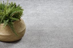 RugsX Wall-To-Wall San Rug in Silver - Size: 150 cm x 400 cm - thumbnail 5