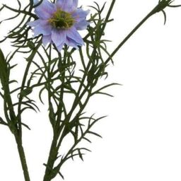 Hill Interiors The Natural Garden Collection Love In A Mist Nigella Artificial Flower in Purple - thumbnail 4