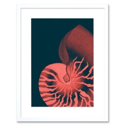 "Artery8 Wall Art Print Pink Seashell Nautilus Artwork Framed 9X7 Inch in White - Size: W7"" x H9""" - thumbnail 1