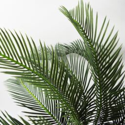Leaf 80cm Artificial Tropical Cycas Palm Plant in Green - thumbnail 5