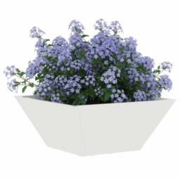 Berkfield Home White Garden Bowl Planter White 35x35x15 cm Steel - Size: 35 x 35 x 15 cm