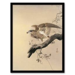 Artery8 Ohara Koson Framed Wall Art Print Hawk Bird of Prey on Tree Branch in Beige - Size: A4 - thumbnail 1