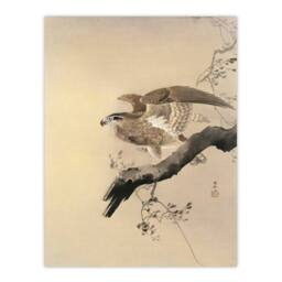 Artery8 Ohara Koson Framed Wall Art Print Hawk Bird of Prey on Tree Branch in Beige - Size: A4 - thumbnail 3