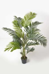 Homescapes Areca Palm Tree in Pot, 160 cm Tall in Green - thumbnail 1