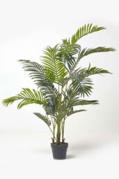 Homescapes Areca Palm Tree in Pot, 160 cm Tall in Green - thumbnail 5