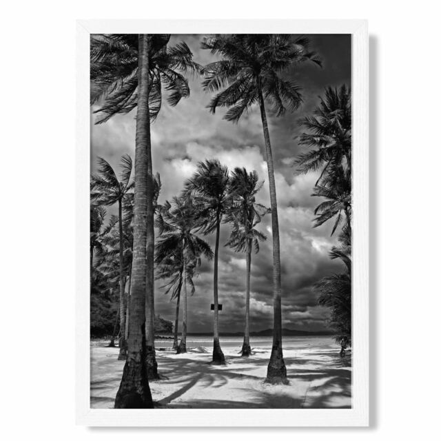 ARTZE Stormy Palm Trees Black & White Photo Framed Print SIZE: A3 with White Frame - Size: A4 - image 1