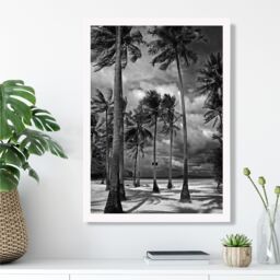 ARTZE Stormy Palm Trees Black & White Photo Framed Print SIZE: A3 with White Frame - Size: A4 - thumbnail 2