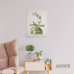 "Artery8 F Sander Marriotts Phalaenopsis Orchid Flowers Canvas Wall Art Print - Size: W12"" x H16""" - thumbnail 3