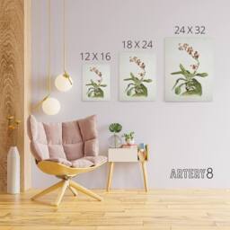 "Artery8 F Sander Marriotts Phalaenopsis Orchid Flowers Canvas Wall Art Print - Size: W12"" x H16""" - thumbnail 4
