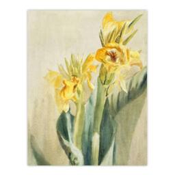 "Artery8 Yellow Canna Lily Flowers Vintage Wall Art Print Hannah Overbeck in Beige - Size: W18"" x H24""" - thumbnail 1
