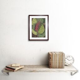 "Artery8 Wall Art Print Flower Coccoloba Uvifera Seagrape Art Framed 9x7 inch in Brown - Size: W7"" x H9""" - thumbnail 2