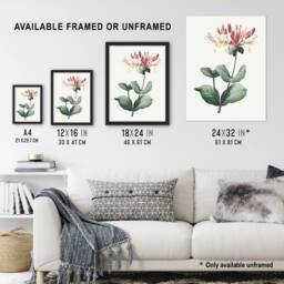 Artery8 Honeysuckle Botanical Redoute Vintage Framed Wall Art Print in White - Size: A4 - thumbnail 3