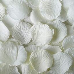 Shatchi 2000pcs Ivory Silk Rose Petals Wedding Mothers Day Wedding Confetti Valentine day Table Decorations in White - thumbnail 3