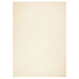 Berkfield Home Rug HUARTE Short Pile Soft & Washable Cream 240x340 cm - Size: Medium - thumbnail 2