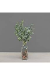 KDMD Eucalyptus Bunch with Frost 2 Pack in Green - thumbnail 2