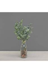 KDMD Eucalyptus Bunch with Frost 2 Pack in Green